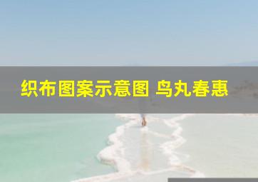 织布图案示意图 鸟丸春惠